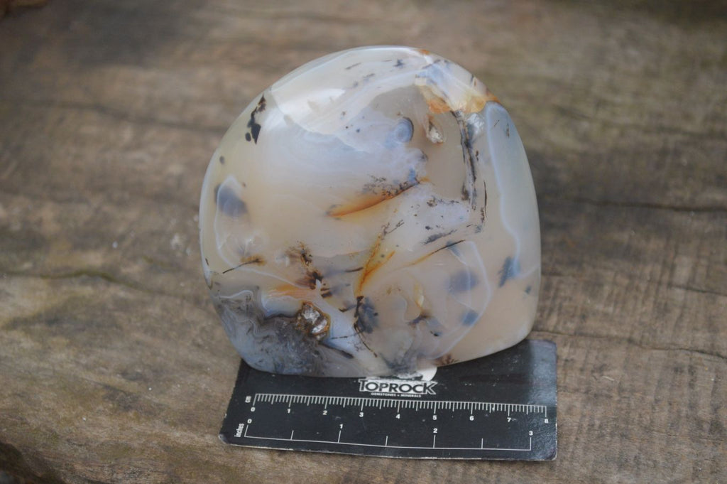 Polished Dendritic Agate Standing Free Forms  x 3 From Madagascar - Toprock Gemstones and Minerals 