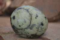 Polished Spotted Leopard Stone Gallets  x 6 From Zimbabwe - Toprock Gemstones and Minerals 
