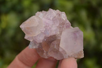 Natural Mixed Spirit Quartz Crystal Specimens x 24 From Boekenhouthoek, South Africa - Toprock Gemstones and Minerals 