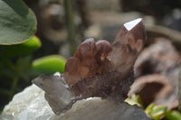 Natural Red Hematoid Quartz Specimens x 7 From Karoi, Zimbabwe - Toprock Gemstones and Minerals 