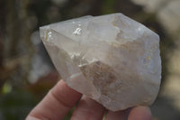 Natural Red Hematoid Quartz Specimens x 7 From Karoi, Zimbabwe - Toprock Gemstones and Minerals 