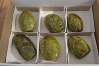 Polished  Green Opal Standing Free Forms x 6 From Madagascar