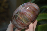 Polished Red Podocarpus Petrified Wood Standing Free Forms x 3 From Mahajanga, Madagascar - Toprock Gemstones and Minerals 