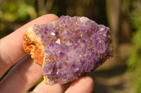 Natural Small Dark "Amethystos" Amethyst Clusters x 35 From Kwaggafontein, South Africa - TopRock