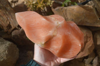 Polished Extra Large Orange Twist Calcite Flame  x 1 From Madagascar - Toprock Gemstones and Minerals 