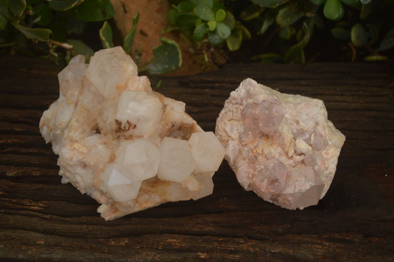 Natural Pineapple Candle Quartz Clusters  x 2 From Madagascar - Toprock Gemstones and Minerals 