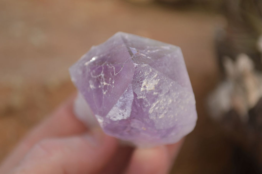 Natural Single Jacaranda Amethyst Crystals x 12 From Mumbwe, Zambia - Toprock Gemstones and Minerals 