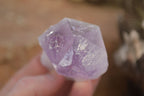 Natural Single Jacaranda Amethyst Crystals x 12 From Mumbwe, Zambia - Toprock Gemstones and Minerals 