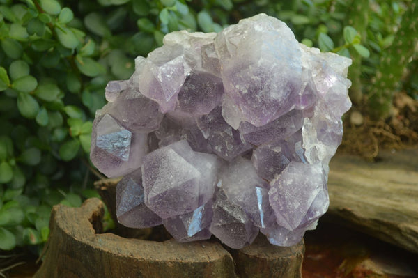 Natural Jacaranda Amethyst Clusters  x 1 From Zambia - Toprock Gemstones and Minerals 