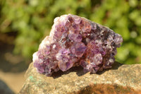Natural Small Dark "Amethystos" Amethyst Clusters x 35 From Kwaggafontein, South Africa - TopRock