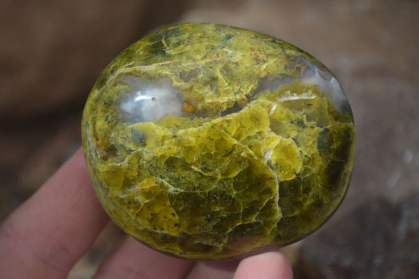 Polished Green Opal Galet / Palm Stones x 12 From Antsirabe, Madagascar - Toprock Gemstones and Minerals 