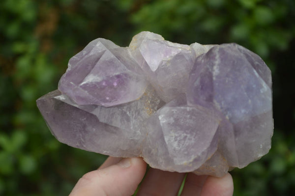 Natural Jacaranda Amethyst Clusters x 2 From Mumbwa, Zambia - TopRock