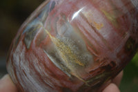 Polished Red Podocarpus Petrified Wood Standing Free Forms x 3 From Mahajanga, Madagascar - Toprock Gemstones and Minerals 