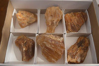 Natural Honey Aragonite Etched & Cobbed Pieces  x 6 From Namibia - Toprock Gemstones and Minerals 
