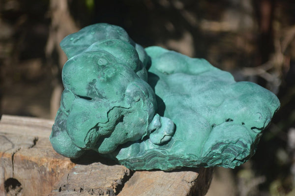 Natural Silky Botryoidal Malachite Specimen  x 1 From Kasompe, Congo - Toprock Gemstones and Minerals 