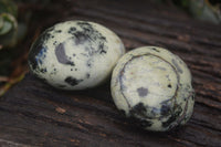 Polished Spotted Leopard Stone Gallets  x 6 From Zimbabwe - Toprock Gemstones and Minerals 