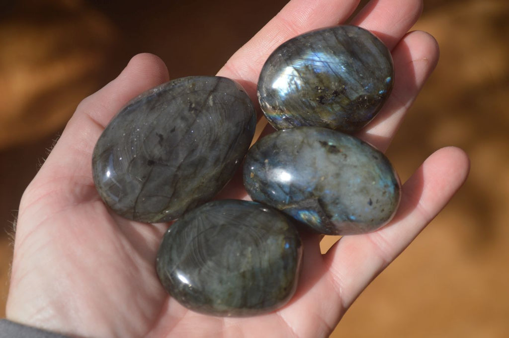 Polished  Flashy Labradorite Palm Stones  x 12 From Tulear, Madagascar - Toprock Gemstones and Minerals 
