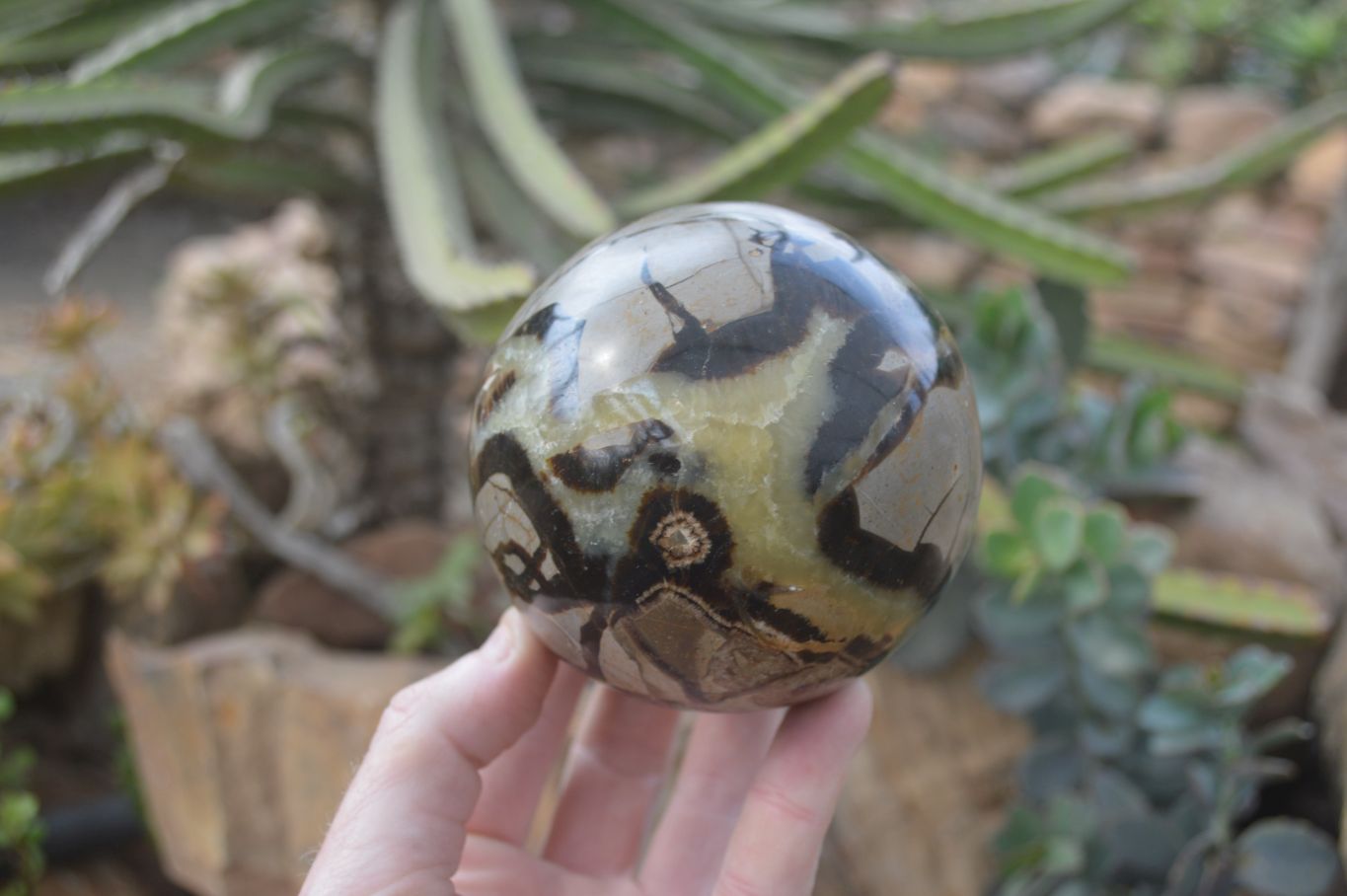 Polished Lazulite & Septaria Spheres  x 2 From Madagascar - Toprock Gemstones and Minerals 