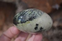 Polished Spotted Leopard Stone Gallets  x 6 From Zimbabwe - Toprock Gemstones and Minerals 