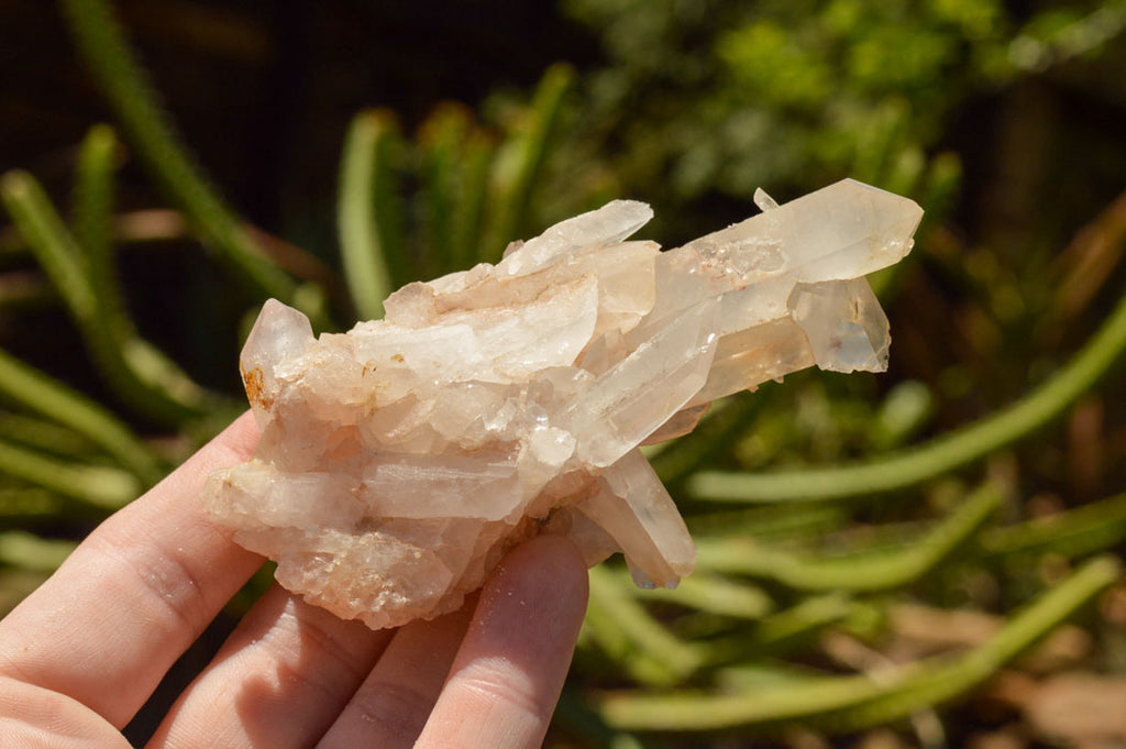 Natural Mixed Quartz Clusters  x 6 From Madagascar - TopRock