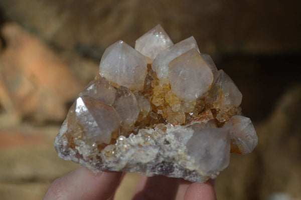 Natural Smokey Amethyst Spirit Quartz Specimens x 12 From Boekenhouthoek, South Africa - Toprock Gemstones and Minerals 