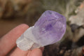 Natural Single Jacaranda Amethyst Crystals x 12 From Mumbwe, Zambia - Toprock Gemstones and Minerals 