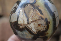 Polished Lazulite & Septaria Spheres  x 2 From Madagascar - Toprock Gemstones and Minerals 