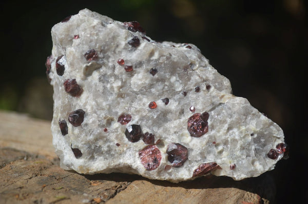 Natural Red Pyrope Garnets In Matrix  x 6 From Karibib, Namibia - Toprock Gemstones and Minerals 