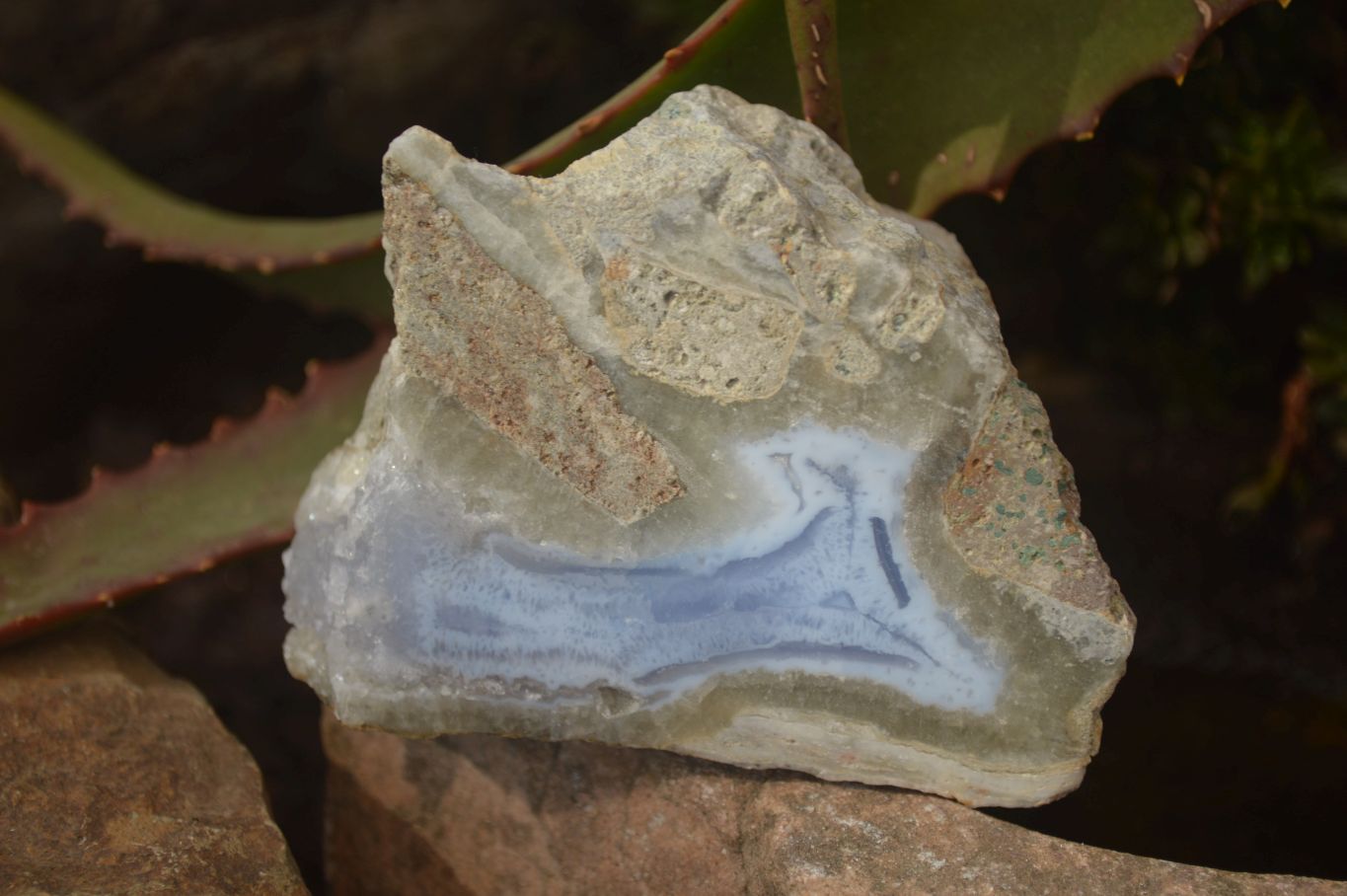 Polished One Side Blue Lace Agate Specimens x 6 From Nsanje, Malawi - Toprock Gemstones and Minerals 