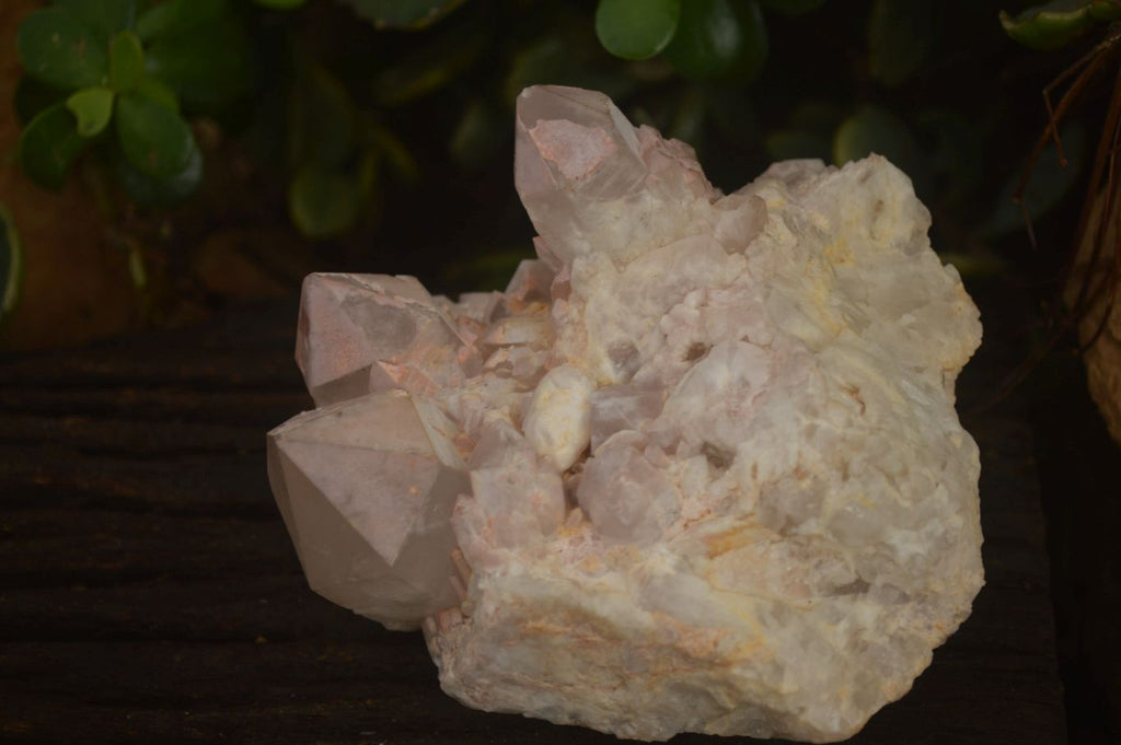 Natural Pineapple Candle Quartz Clusters  x 2 From Madagascar - Toprock Gemstones and Minerals 