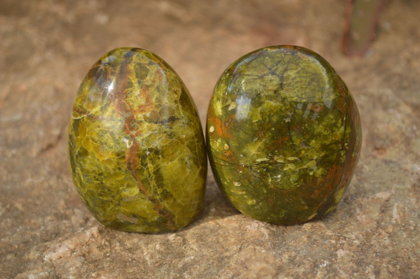 Polished  Green Opal Standing Free Forms x 6 From Madagascar - Toprock Gemstones and Minerals 
