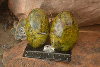 Polished  Green Opal Standing Free Forms x 6 From Madagascar