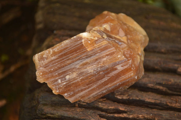 Natural Honey Aragonite Etched & Cobbed Pieces  x 6 From Namibia - Toprock Gemstones and Minerals 