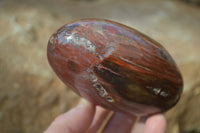 Polished Red Podocarpus Petrified Wood Standing Free Forms x 3 From Mahajanga, Madagascar - Toprock Gemstones and Minerals 