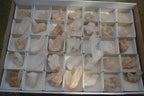 Natural Small Mixed Quartz Clusters  x 35 From Madagascar - Toprock Gemstones and Minerals 