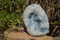 Natural Blue Celestite Geode Specimen  x 1 From Sakoany, Madagascar