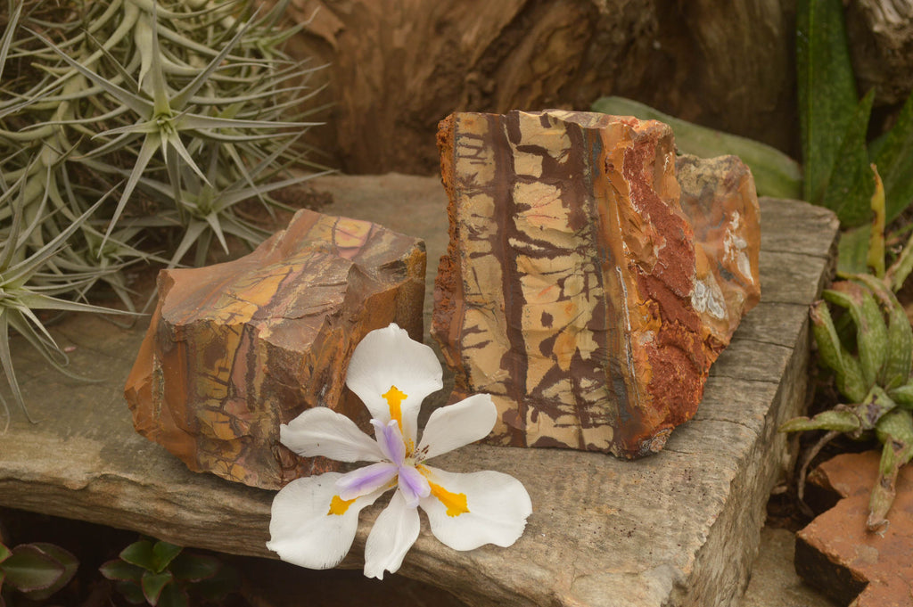 Natural Large Nguni Jasper Specimens  x 2 From Northern Cape, South Africa - TopRock