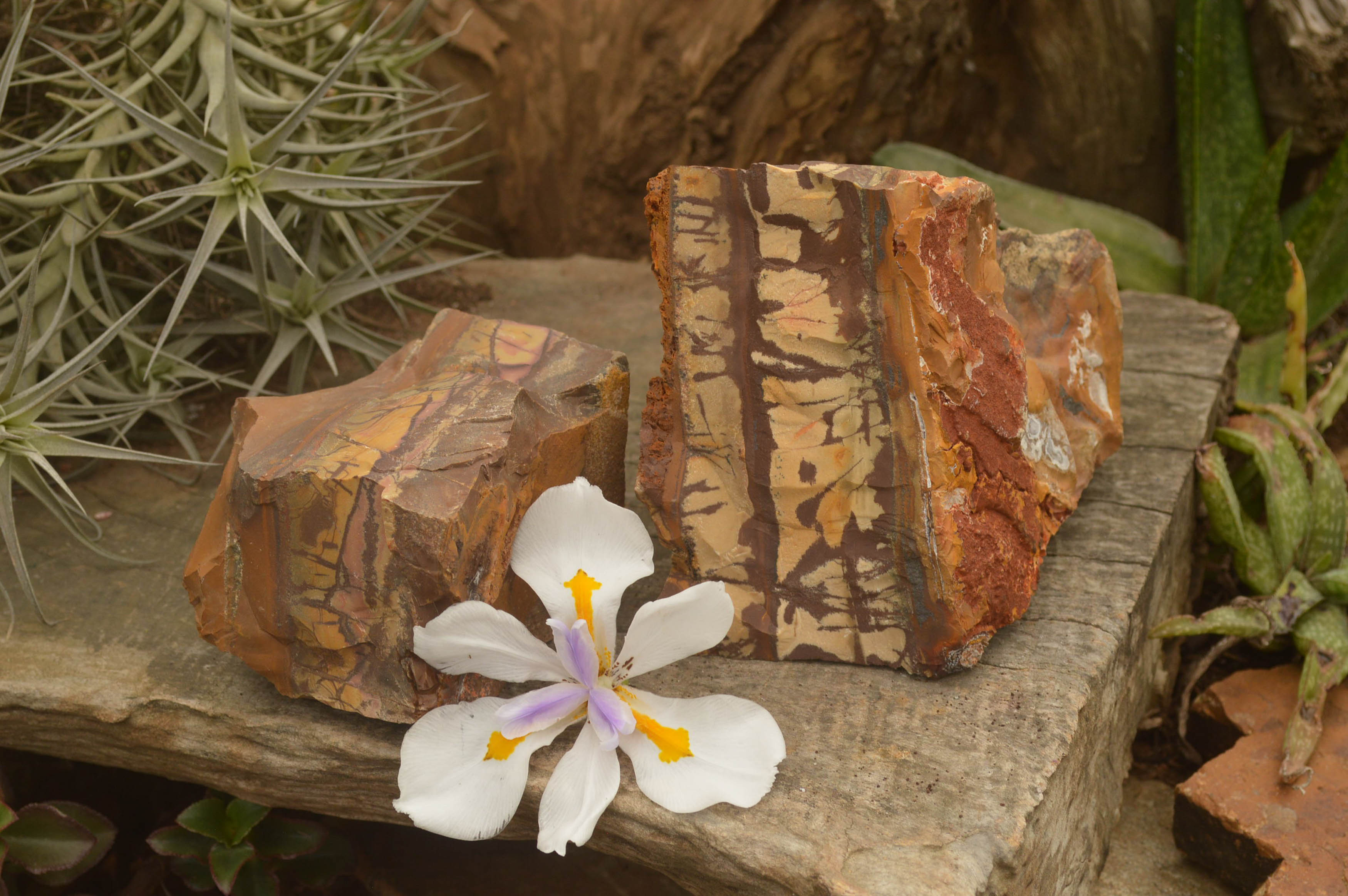 Natural Large Nguni Jasper Specimens  x 2 From Northern Cape, South Africa - TopRock
