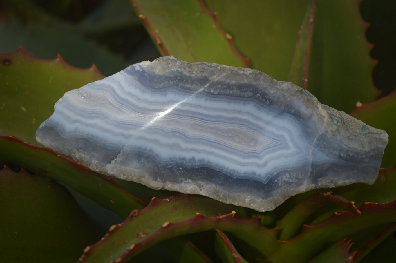 Polished One Side Blue Lace Agate Specimens x 6 From Nsanje, Malawi - Toprock Gemstones and Minerals 