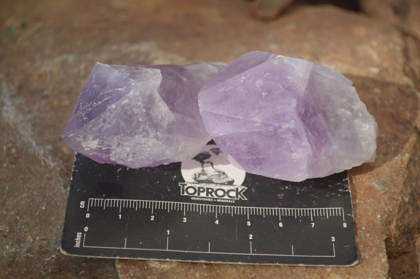 Natural Single Jacaranda Amethyst Crystals x 12 From Mumbwe, Zambia - Toprock Gemstones and Minerals 