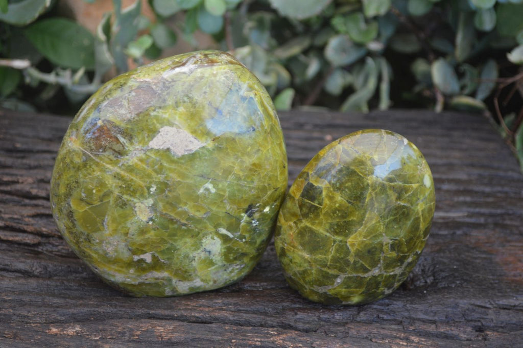 Polished Green Opal Standing Free Forms  x 2 From Antsirabe, Madagascar - Toprock Gemstones and Minerals 