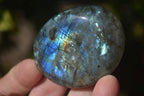 Polished  Flashy Labradorite Palm Stones  x 12 From Tulear, Madagascar - Toprock Gemstones and Minerals 