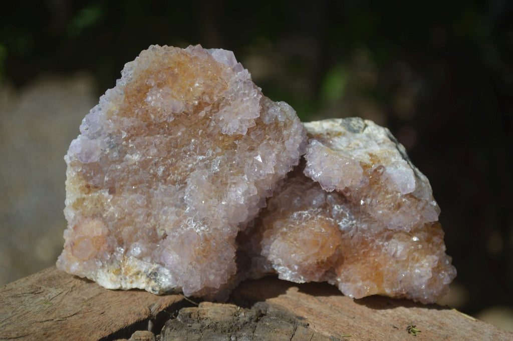 Natural Ametrine & Limonite Spirit Quartz Clusters  x 3 From Boekenhouthoek, South Africa - Toprock Gemstones and Minerals 