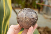 Polished Dream Amethyst Spheres  x 3 From Madagascar - TopRock