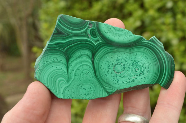 Polished Malachite Slices With Nice Banding/Patterns x 12 From Congo - TopRock
