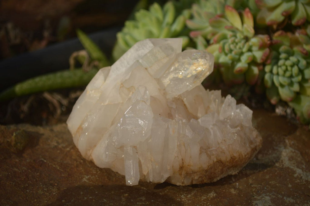 Natural Mixed Selection Of Quartz Clusters  x 12 From Madagascar - Toprock Gemstones and Minerals 