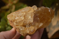 Natural Honey Aragonite Etched & Cobbed Pieces  x 6 From Namibia - Toprock Gemstones and Minerals 