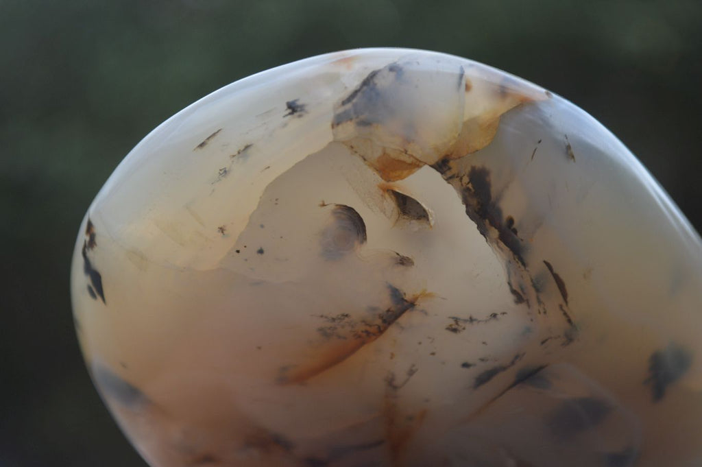 Polished Dendritic Agate Standing Free Forms  x 3 From Madagascar - Toprock Gemstones and Minerals 
