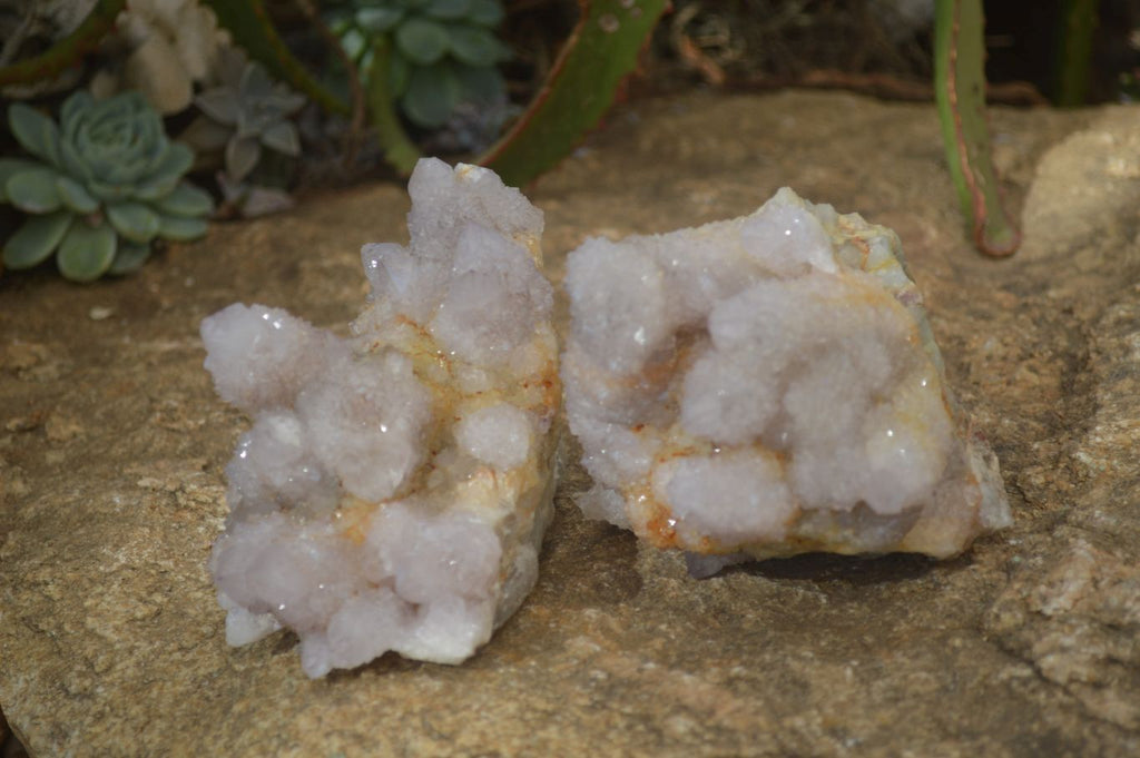 Natural Pale Lilac Spirit Quartz Clusters x 2 From Boekenhouthoek, South Africa - Toprock Gemstones and Minerals 