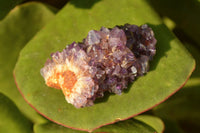 Natural Small Dark "Amethystos" Amethyst Clusters x 35 From Kwaggafontein, South Africa - TopRock